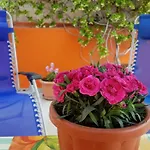Casa Celeste