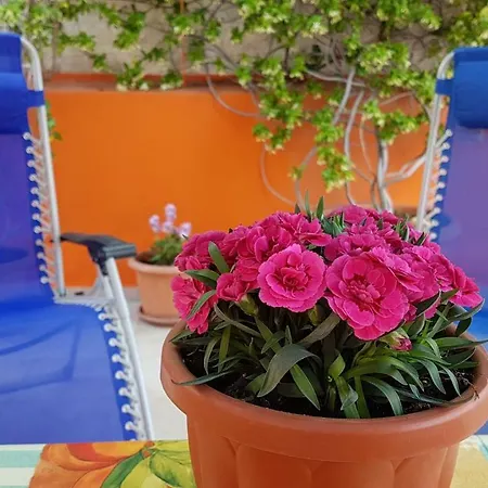 Casa Celeste
